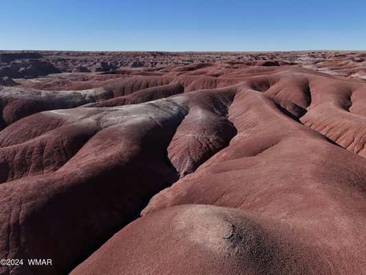 TBD SHERI RD 160 ACRES, HOLBROOK, AZ 86025 - Image 1