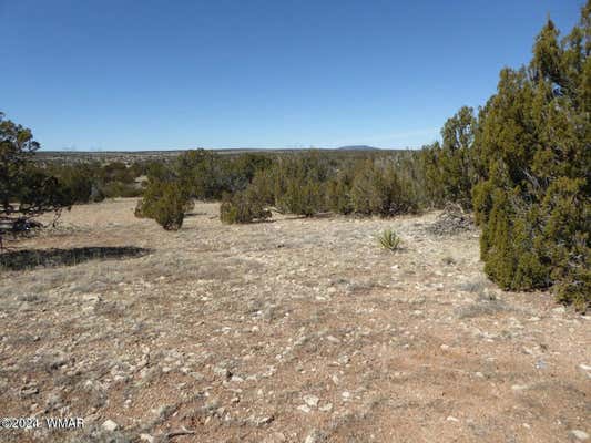 SEC 12 T14N R16E: SW4 SE4, HEBER, AZ 85928 - Image 1