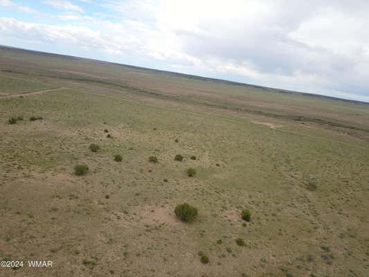 TBD 40.5 ACRES AT CARRIZO RANCHES, ST. JOHNS, AZ 85936, photo 2 of 6