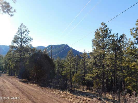 LOT 36 NOBLE MOUNTAIN ESTATES, NUTRIOSO, AZ 85932, photo 2 of 7