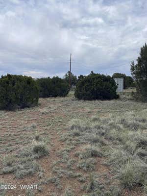 34 CREST LN, CONCHO, AZ 85924 - Image 1