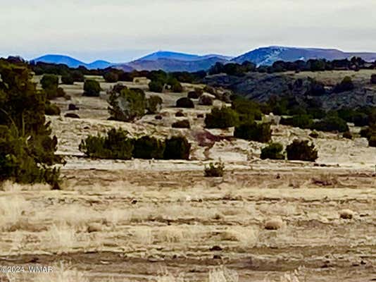 TBD CR 5201 LOT 1, CONCHO, AZ 85924 - Image 1