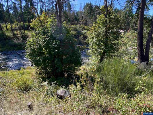 23545 N FORK RD SE, LYONS, OR 97358 - Image 1