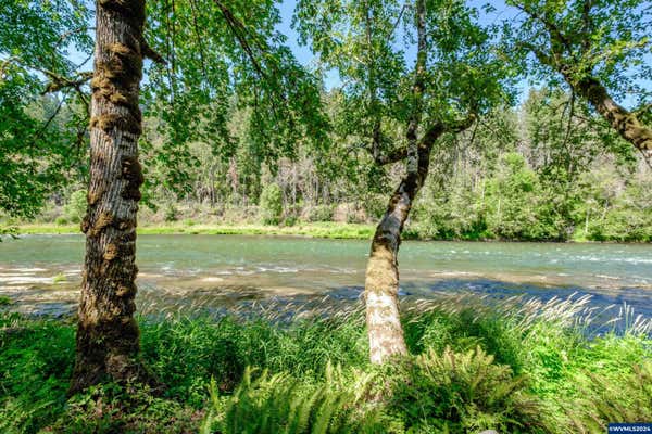 45849 RIVER LOOP RD, LYONS, OR 97358, photo 2 of 42