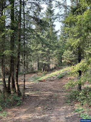 3647 BRIAR KNOB LOOP NE, SCOTTS MILLS, OR 97375 - Image 1