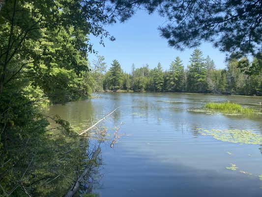 LOT 4 FUNK ROAD # THUNDER BAY RIVER WATERFRONT, HILLMAN, MI 49746, photo 3 of 4