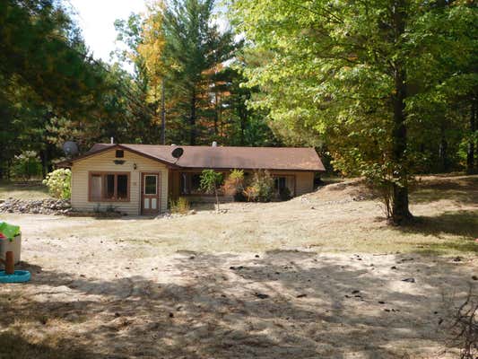 1385 COUNTY ROAD 612, GRAYLING, MI 49738 - Image 1