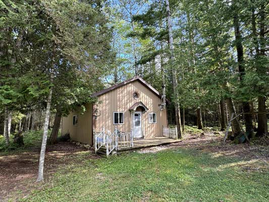 0 M-134, HESSEL, MI 49745 - Image 1