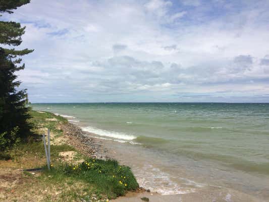 14220 BIRCHALL CT LOT 220, CHEBOYGAN, MI 49721 - Image 1