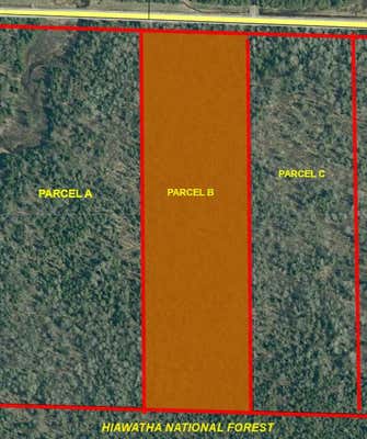 PARCEL B BLACK POINT ROAD # 10.6 +/- ACRES, MORAN, MI 49760 - Image 1