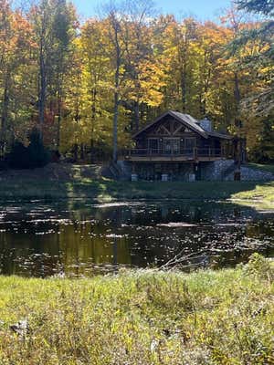 800 ACRES SIMMONS ROAD, HESSEL, MI 49745, photo 3 of 62