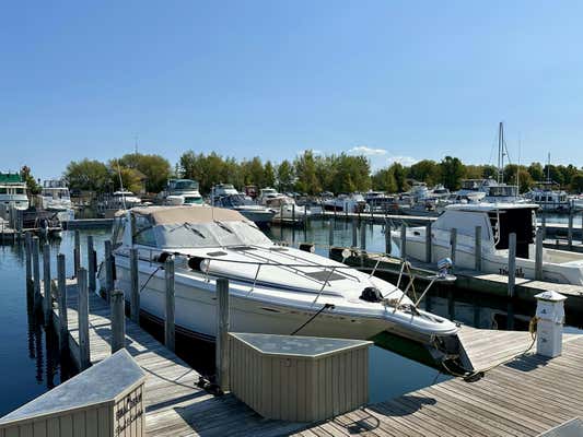 199 BOAT CLUB DRIVE # SLIP 199, CHEBOYGAN, MI 49721 - Image 1