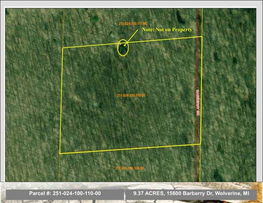 15600 BARBERRY DR LOT 110, WOLVERINE, MI 49799 - Image 1