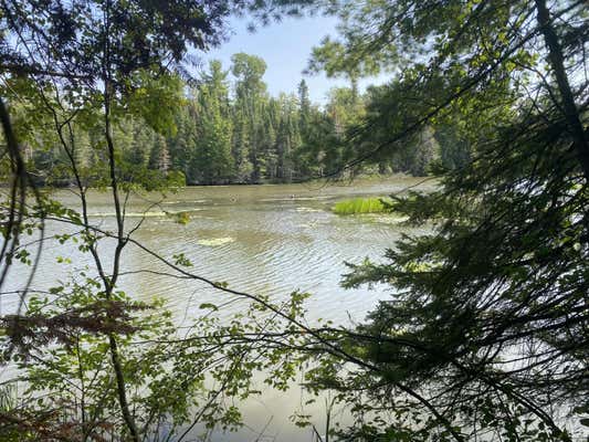 LOT 4 FUNK ROAD # THUNDER BAY RIVER WATERFRONT, HILLMAN, MI 49746, photo 4 of 4