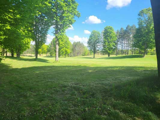 LOT 23 CUBS WAY, VANDERBILT, MI 49795, photo 5 of 12