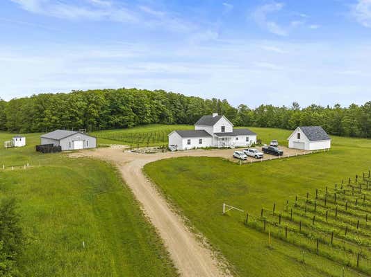 6715 N US HIGHWAY 31, LEVERING, MI 49755 - Image 1