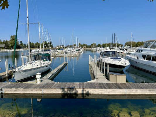 57 BOAT CLUB DRIVE # SLIP 57, CHEBOYGAN, MI 49721 - Image 1