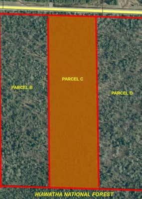 PARCEL C BLACK POINT ROAD # 10.6 +/- ACRES, MORAN, MI 49760 - Image 1