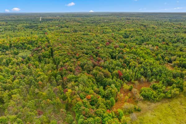 OLD STUMP ROAD 10 ACRES, GAYLORD, MI 49735 - Image 1