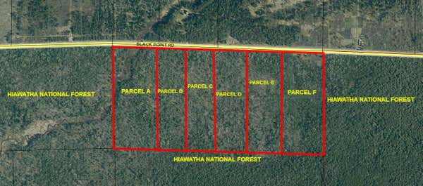 PARCEL F BLACK POINT ROAD # 20 ACRES, MORAN, MI 49760 - Image 1