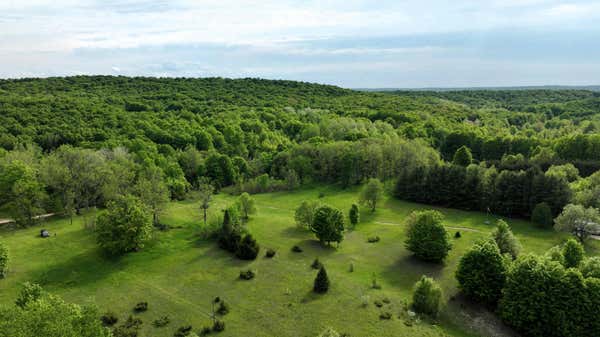 ROGERS ROAD 20 ACRES, EAST JORDAN, MI 49727, photo 5 of 12