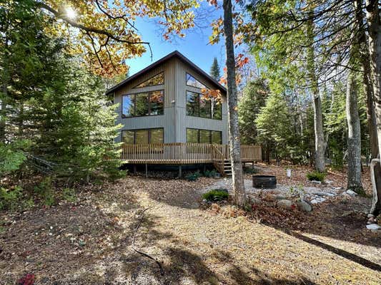 8751 CORDWOOD TRL, CHEBOYGAN, MI 49721 - Image 1