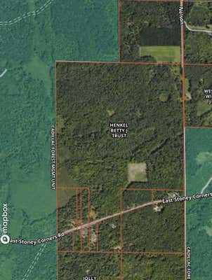 V/L E STONY CORNERS ROAD, FALMOUTH, MI 49632 - Image 1