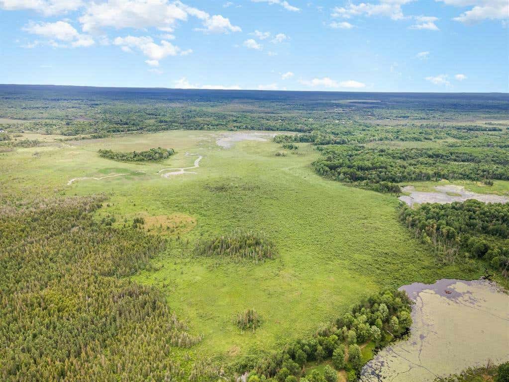 240 ACRES BOWMAN TRAIL, HOUGHTON LAKE, MI 48629, photo 1 of 50