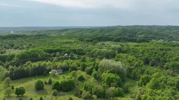 ROGERS ROAD 20 ACRES, EAST JORDAN, MI 49727, photo 4 of 12