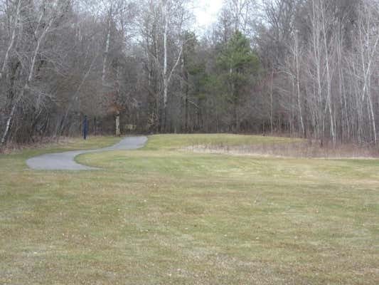 7 FAIRWAY CT, GRAYLING, MI 49738 - Image 1