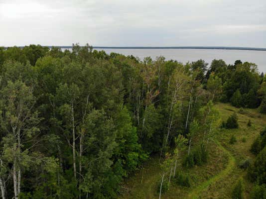 BLUFFS HIGHWAY 40 ACRES, ONAWAY, MI 49765 - Image 1