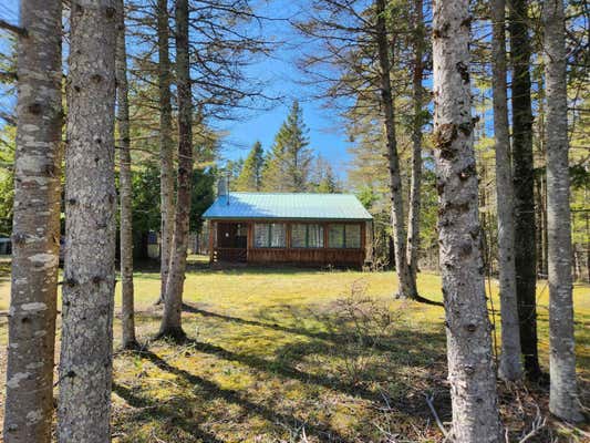 195 ROCKY RD, POINTE AUX PINS, MI 49775 - Image 1