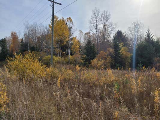 NHN WALKER HIGHWAY # 18 ACRES, MILLERSBURG, MI 49759 - Image 1