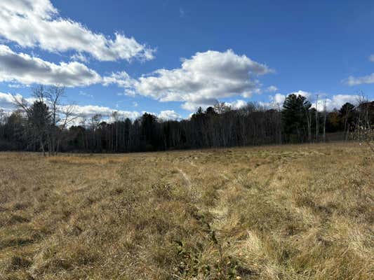 GRAY ROAD ROAD, WEST BRANCH, MI 48661 - Image 1