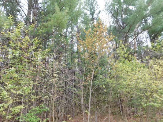 ALPENHOF DRIVE LOT #300, GRAYLING, MI 49738 - Image 1