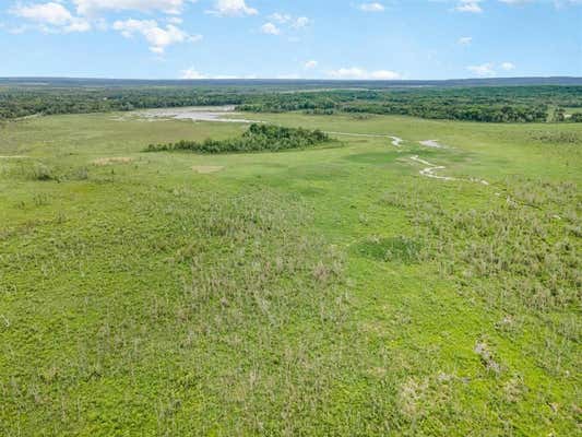 240 ACRES BOWMAN TRAIL, HOUGHTON LAKE, MI 48629, photo 5 of 50