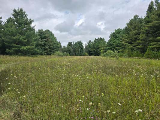 MIELKE ROAD 40 ACRES, HAWKS, MI 49743 - Image 1