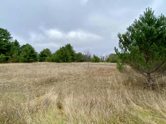 4.94 ACRES TAG ALDER TRAIL, GAYLORD, MI 49735 - Image 1