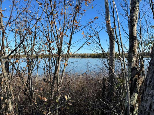 LOT #29 OUTER DRIVE # +/- .45 ACRES, PRESQUE ISLE, MI 49777 - Image 1