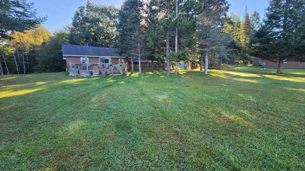 4151 BLACK BEAR TRL, LINCOLN, MI 48742 - Image 1