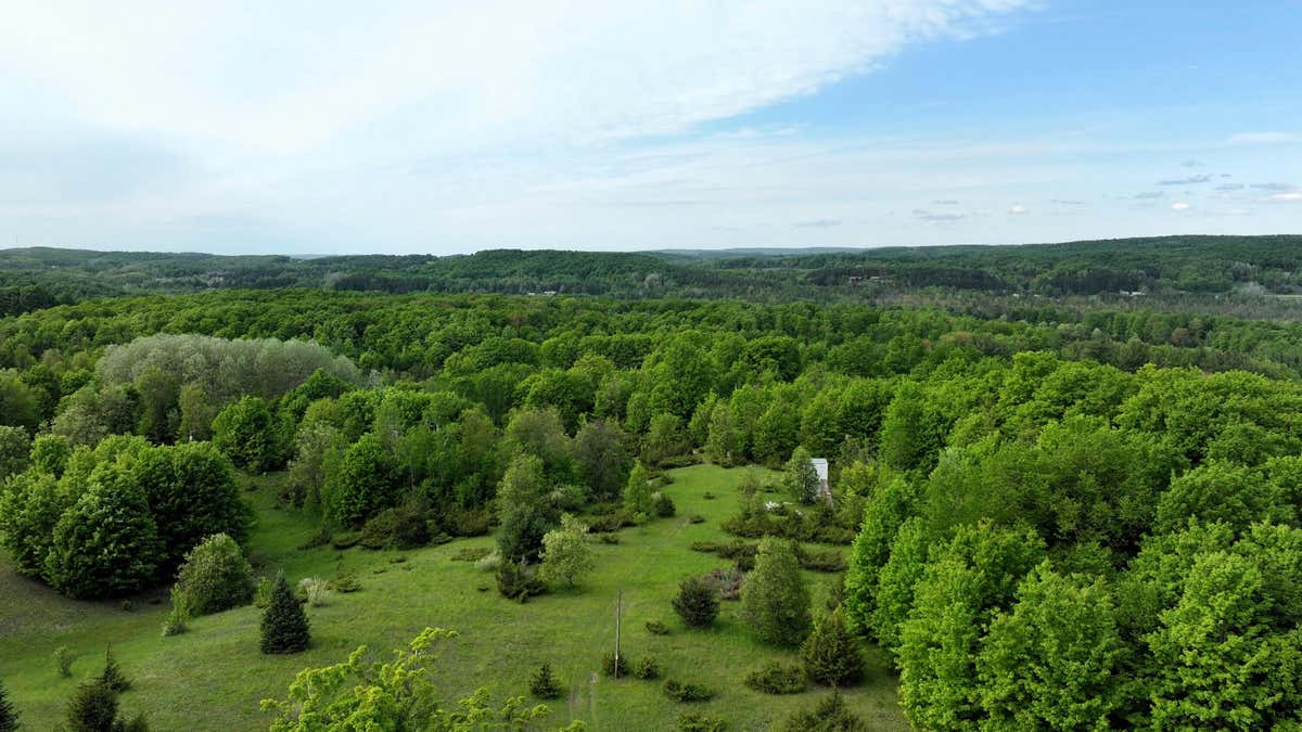 ROGERS ROAD 20 ACRES, EAST JORDAN, MI 49727, photo 1 of 12