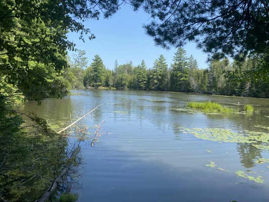 LOT 3 FUNK ROAD # THUNDER BAY RIVER WATERFRONT, HILLMAN, MI 49746 - Image 1