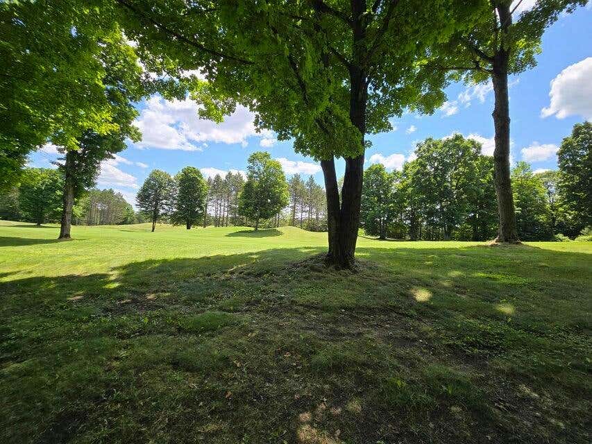 LOT 23 CUBS WAY, VANDERBILT, MI 49795, photo 1 of 12