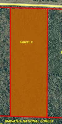 PARCEL E BLACK POINT ROAD # 10.6 +/- ACRES, MORAN, MI 49760 - Image 1