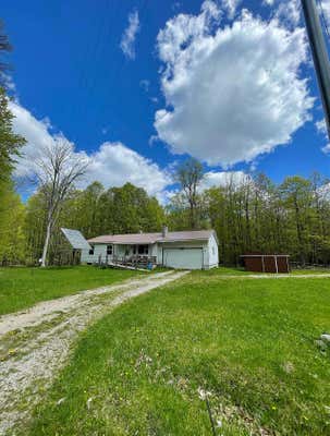 8450 BERNARD RD, ONAWAY, MI 49765 - Image 1