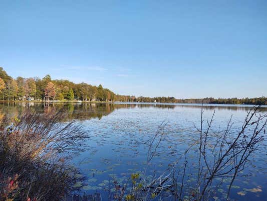 LAKE MAY ROAD LOT 1, HAWKS, MI 49743 - Image 1