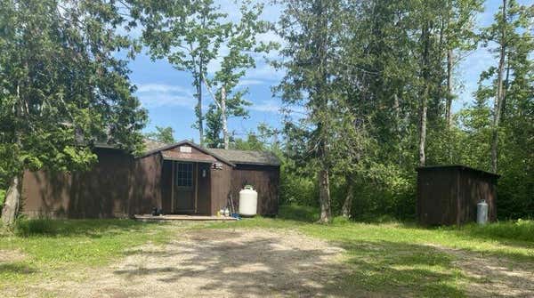 3146 WILDS RD, OSSINEKE, MI 49766 - Image 1