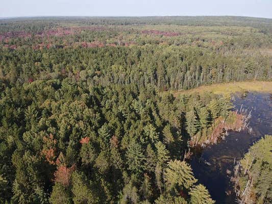 S BRANCH TRAIL 40 ACRES, INDIAN RIVER, MI 49749 - Image 1