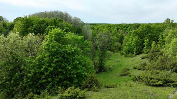 ROGERS ROAD 20 ACRES, EAST JORDAN, MI 49727, photo 3 of 12