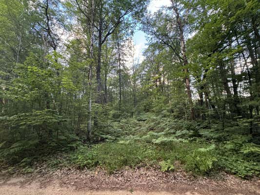 LOT #120 CRYSTAL STREET # LAKE ACCESS LOT, JOHANNESBURG, MI 49751 - Image 1